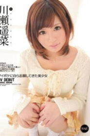 HEYZO-0505