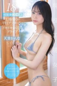 START-291