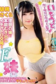 YMDD-429