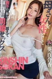DASS-595