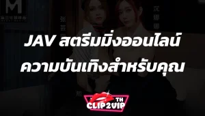 JAV สตรีมมิ่งออนไลน์: ความบันเทิงสำหรับคุณ