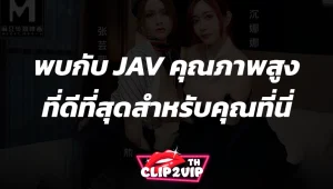พบกับ JAV คุณภาพสูง ที่ดีที่สุดสำหรับคุณที่นี่